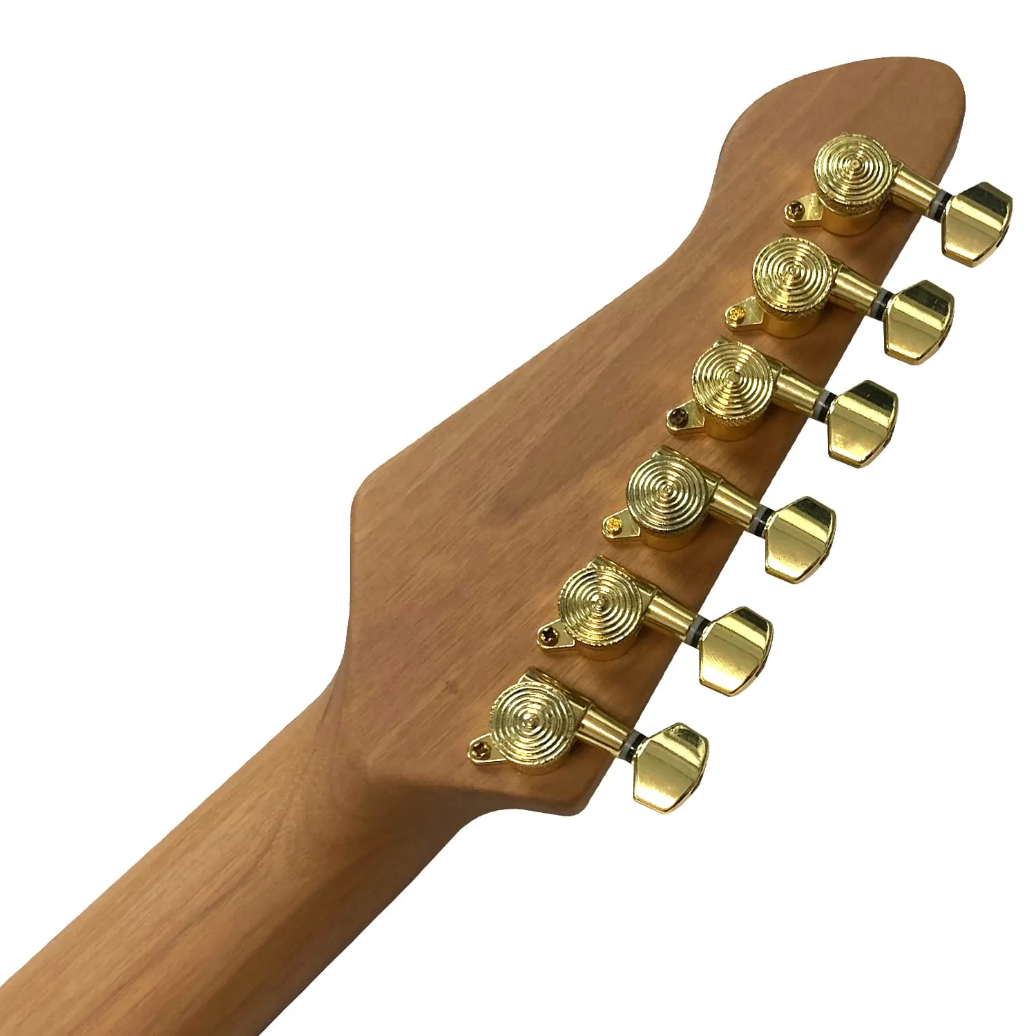 גיטרה חשמלית שחורה BZguitars BZ-T5-BURL