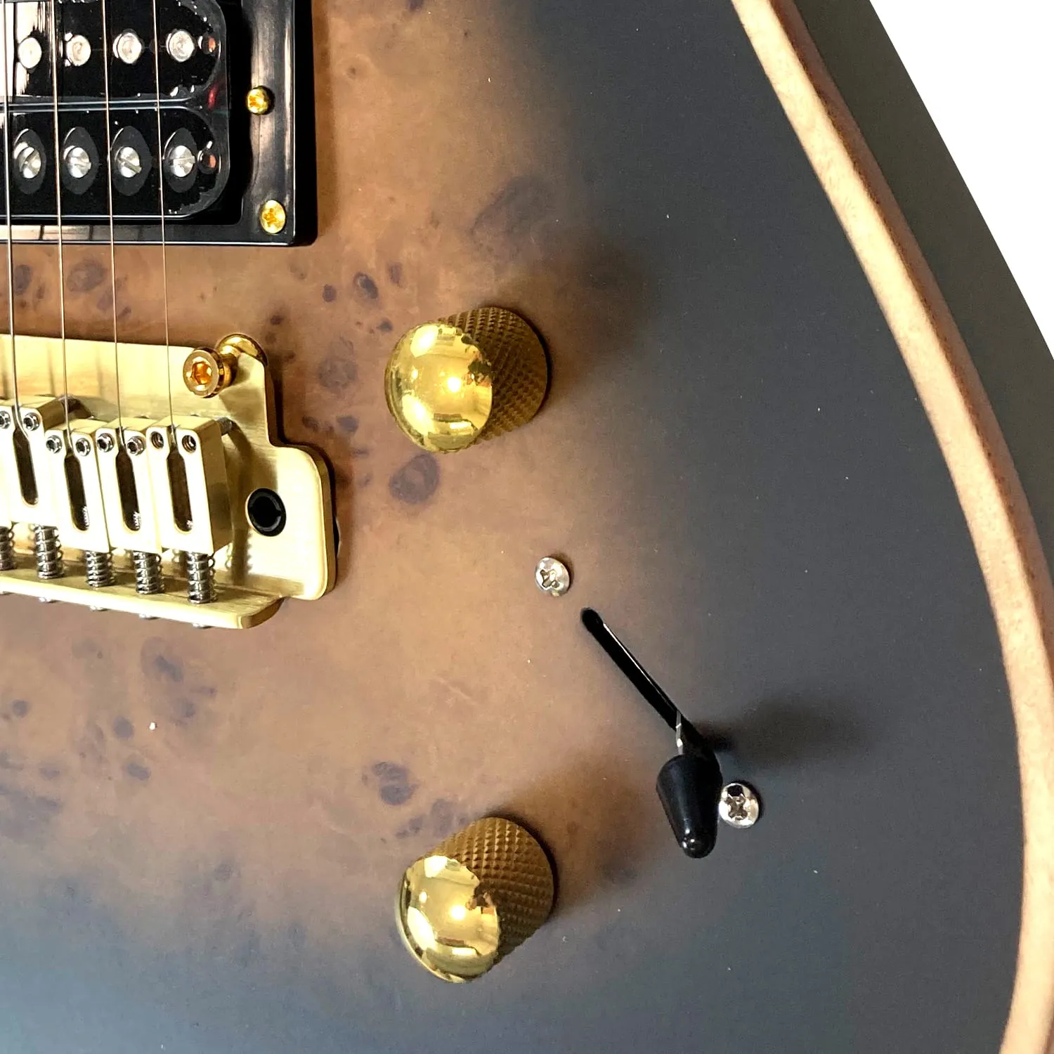 גיטרה חשמלית שחורה BZguitars BZ-T5-BURL