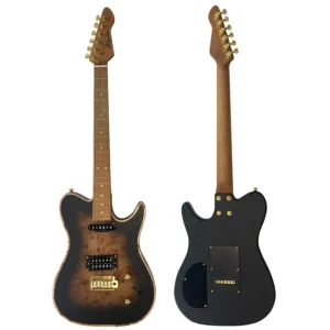 גיטרה חשמלית שחורה BZguitars BZ-T5-BURL