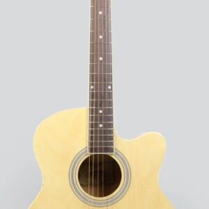 גיטרה אקוסטית מוגברת