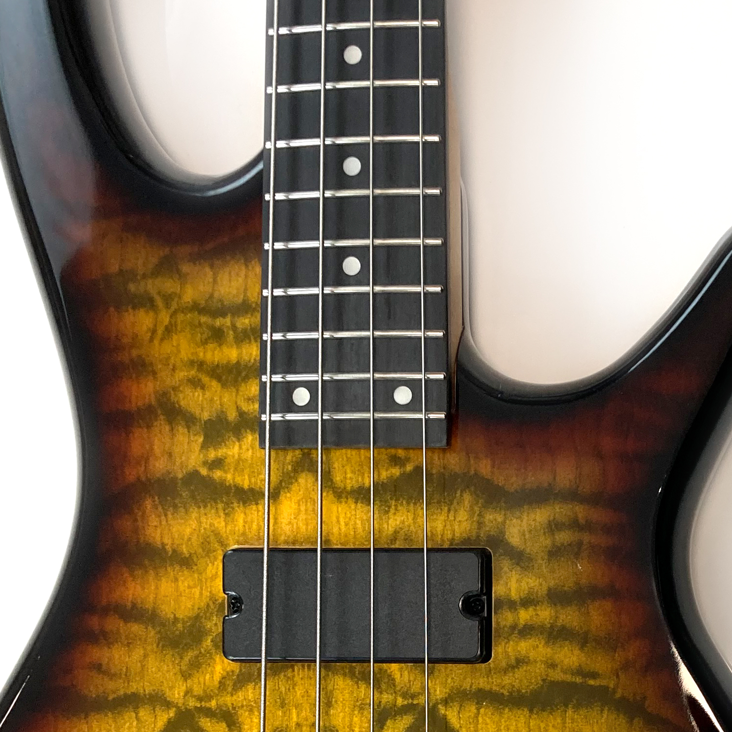 גיטרה בס מומלצת למתחילים