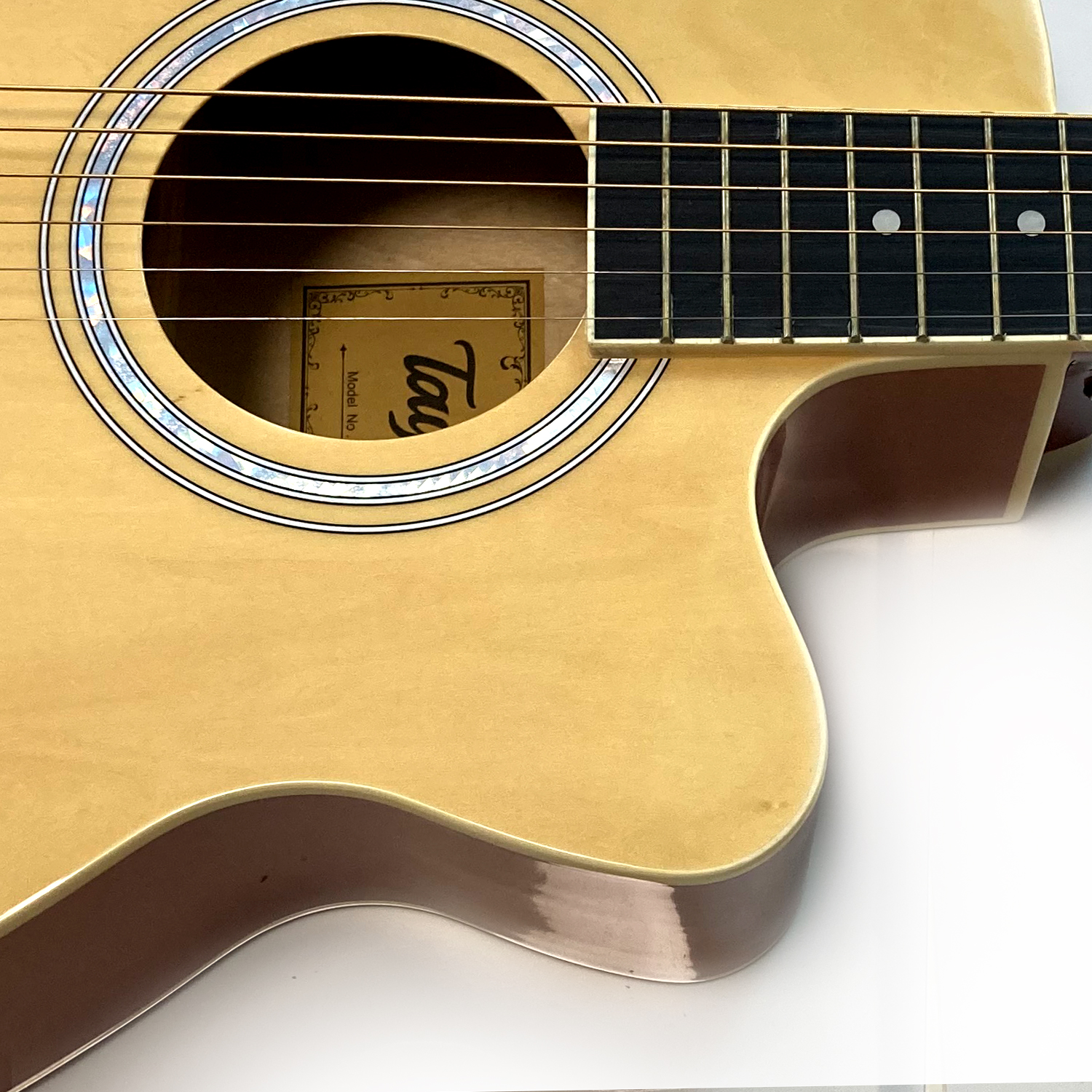 גיטרה אקוסטית Tayste T-401N – תמונה 3